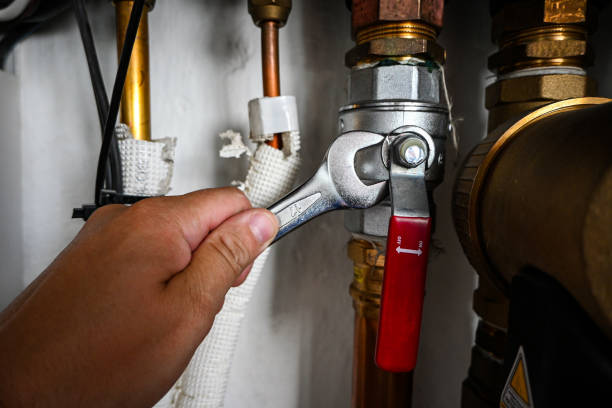 Best Emergency Plumbing Repair  in North Muskegon, MI